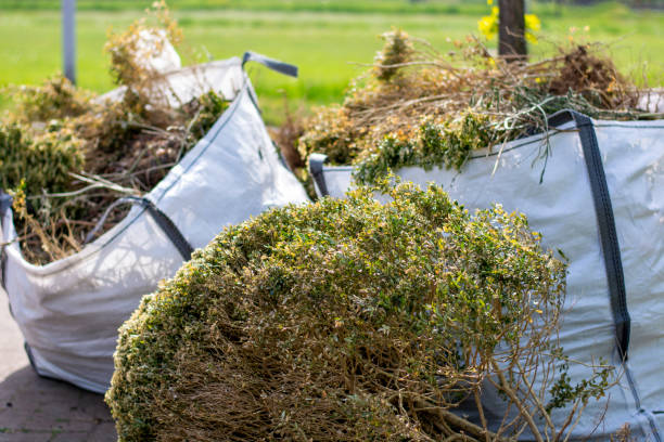 Best Trash Removal Near Me  in Luverne, MN