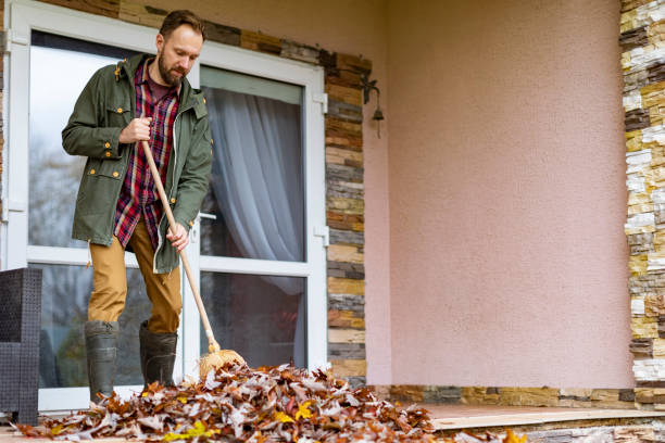 Attic Cleanout Services in Luverne, MN