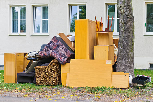 Best Professional Junk Removal  in Luverne, MN